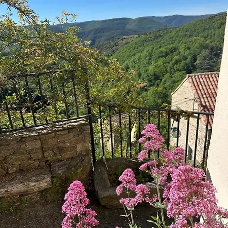 Maison De La Mure, Haut-languedoc Park بيت للعطل