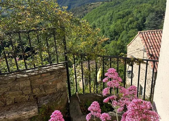 Maison De La Mûre, Haut-languedoc Park Hébergement de vacances