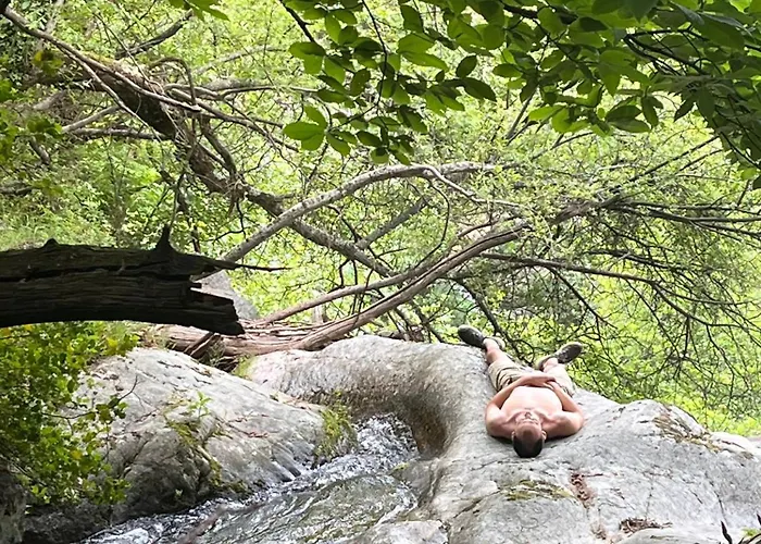 Maison De La Mûre, Haut-languedoc Park Hébergement de vacances